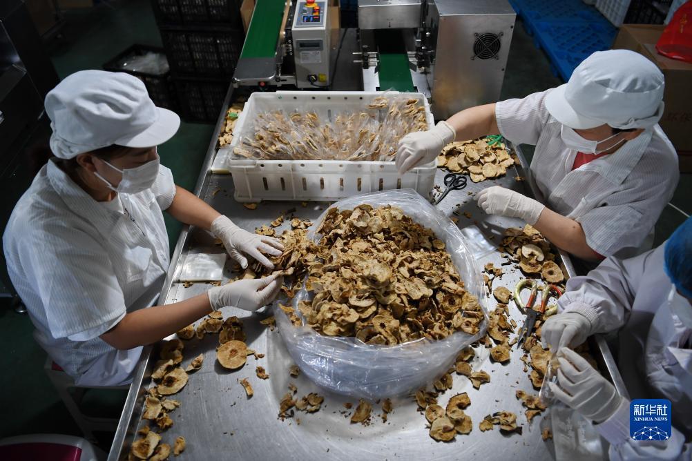 娱乐场自动送体验金